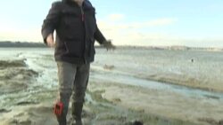 CLEAN : Algae contaminates Brittany beaches, locals question farming methods News Clip