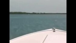 Everglades National Park - Bonefish in South Florida Instructional Video
