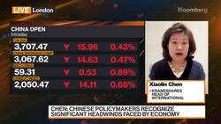 China Deserves Long-Term Strategic Asset Allocations: Chen News Clip