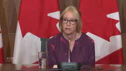 Mother of Canadian detained in Syria asks why others ‘are receiving the justice my son is being denied’ News Clip