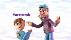 ¿Qué es la neuroplasticidad? Instructional Video