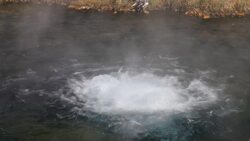 Hydrothermals Instructional Video