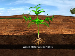 Waste Materials in Plants Instructional Video