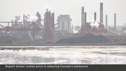 New report shows carbon price is reducing emissions News Clip