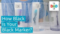 Exploring Black Markers with Chromatography Instructional Video