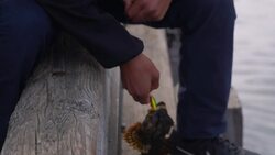 How climate change is affecting the lives of Greenlanders  Instructional Video