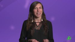 Is Your Dog Bilingual? Instructional Video