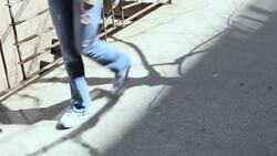 How to Understand Dog Breeds with Julia Szabo Instructional Video