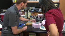 Bugs' winter survival strategy News Clip