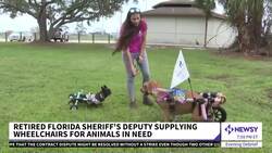 WFTS: Retired Deputy Supplying Wheelchairs For Animals In Need News Clip