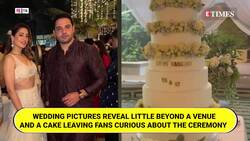 Nargis Fakhri and Tony Beig's Surprising Age Gap & Alleged Wedding; Inside Their Unlikely Love Story News Clip