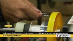 Fraser Valley anglers get rare chance to reel in sockeye amid bumper salmon run News Clip