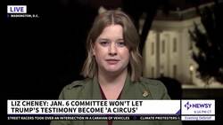 Cheney: Jan. 6 Committee Won't Let Trump's Testimony Become 'A Circus' News Clip