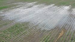 NASA and Agriculture: From Seeds to Satellites Instructional Video