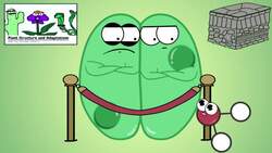 Specialized Cells: Significance and Examples Instructional Video