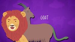 Who Was Able To Tame Pegasus? Instructional Video