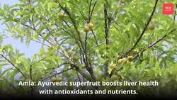 "Unhealthy Lifestyle Damaging Liver Health Instructional Video