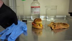 The Power and Function of Stomach Acid Instructional Video