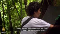 Women Make Science: Ecuador's Hidden Treasure | Featured Documentary News Clip