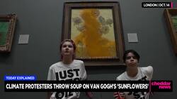 Today Explained: Why Protesters Threw Soup on Van Gogh Painting News Clip