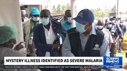 Mystery disease causing deaths in Congo identified as a severe malaria News Clip