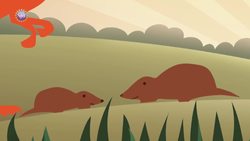 4 Awesome Discoveries You Probably Didn't Hear About This Week - Episode 2 Instructional Video