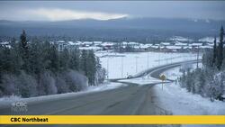 Whitehorse residents worry the Whistle Bend South development plan could affect local wildlife News Clip