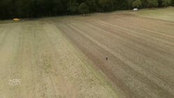 Running toward war — literally News Clip