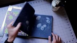 The Secret Things Living In Your Drains Instructional Video