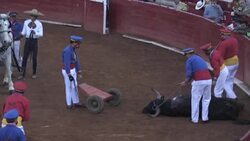 CLEAN : STOCKSHOTS: Bullfighting in Mexico City News Clip