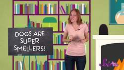 Cats and Dogs | SciShow Kids Compilation Instructional Video