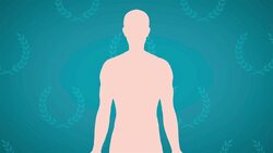 I WONDER - What Is The Largest Organ In The Body? Instructional Video