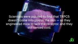 Why Biting Ice Cream Hurts So Bad Instructional Video