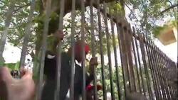 Scuffles break out inside and outside Ugandan parliament News Clip