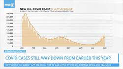 Newsy Overview Of The COVID-19 Data News Clip