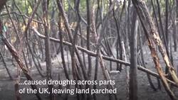 Flash Floods And Thunderstorms Will Give Way To Breezy Conditions By End Of Week News Clip