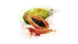 Papaya, animated illustration Stock Footage