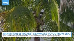 Miami's 'Hard To See' Future Besets Attempts To Outrun The Sea News Clip