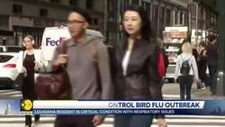 US Confirms First Severe Human Case Of Bird Flu News Clip