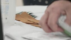 Public health officials worry Canada Games could bring measles to N.L. News Clip