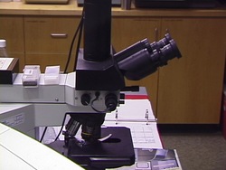 Método científico: ¿qué es el método científico? Instructional Video