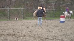 Saddle up for a western-style riding adventure at Hollow Brook Riding Academy! News Clip