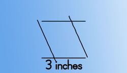 Calculating the Area Instructional Video