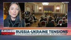 'Don't panic', Ukraine's Zelenskyy tells West amid fears of Russian invasion News Clip