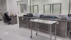 New 24-hour animal hospital opens in Kamloops, B.C. News Clip