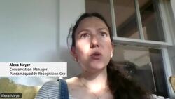 Why these locals are sharing their shark tales News Clip