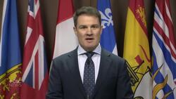 Canadian travellers deserve better than 'dumpster fire' of current passenger protection regime: NDP transport critic News Clip