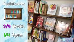 How a Library Uses Math Instructional Video