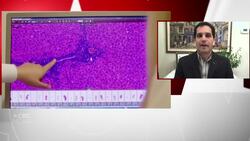 Moderna says its COVID-19 vaccine appears to be 94.5% effective News Clip