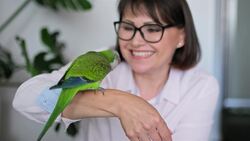 I WONDER - How Long Do Parrots Live? Instructional Video